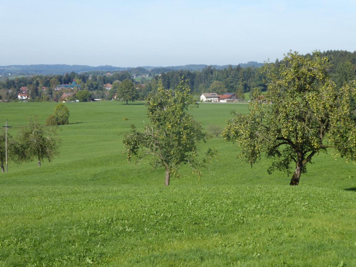 Landhof Zitzler Apartment Opfenbach Luaran gambar